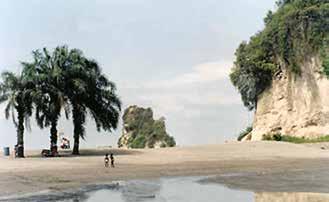 Beach at Tumaco where the 1906 miracle occurred, featuring palm trees and a rocky cliff, symbolizing divine intervention.