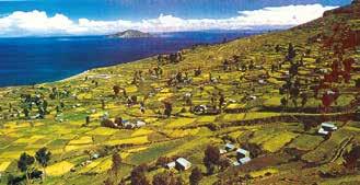 Lake Titicaca's terraced fields, symbolizing the rich cultural landscape of Peru, echo the historical miracle of Eten.