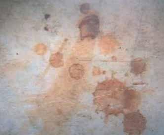 Image showing blood stains on a stone related to the Eucharistic Miracle.