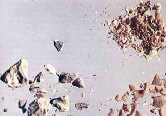 Close-up of small fragments believed to be from the Eucharistic Miracle.