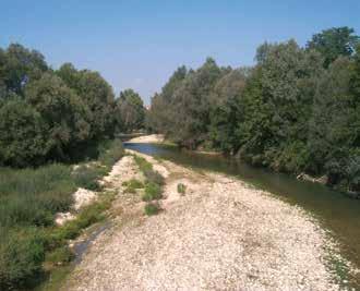 The Maira River, central to the 1630 miracle, flows calmly past a sandy bank and lush greenery in Canosio.