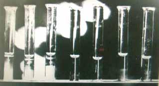 Image shows five glass vials containing blood from the Eucharistic Miracle.