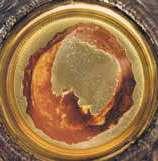 An image of a piece of the miraculous flesh from the Eucharistic Miracle.