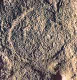 Imprint of the first Host