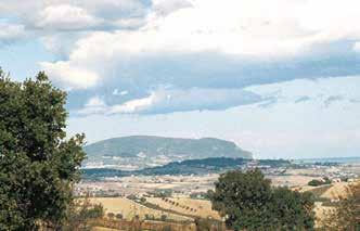 Scenic view of Morrovalle's landscape, symbolizing the enduring faith after the 1560 Eucharistic miracle.