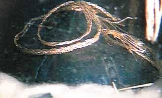 An image showing a golden thread-like object, possibly a relic associated with the Eucharistic miracle.