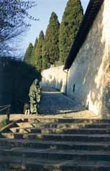 A pathway leading to a building with cypress trees lining the side.