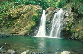 A small waterfall surrounded by lush greenery and rocks, with a pool of water at the base.