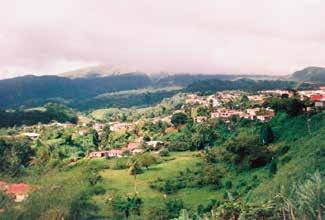 Lush landscape of Morne-Rouge, spared by Mount Pelée's eruption, highlighting the miraculous preservation of the village.