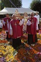 Clerics carrying a religious figure during a procession surrounded by flowers.