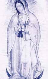 Image of the Virgin of Guadalupe, resembling the Shroud of Turin, with inexplicable scientific analysis results.