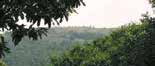 Panoramic view of O'Cebreiro, the site of the Eucharistic miracle, surrounded by lush greenery and distant hills.